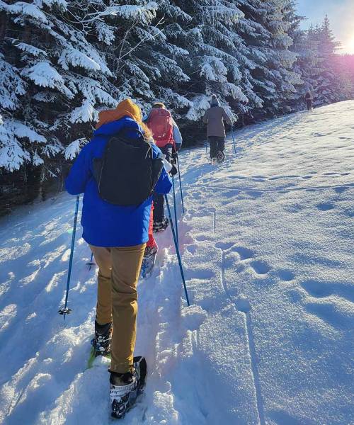 Eine Gruppe von Menschen läuft hintereinander durch eine Schneelandschaft mit Schneeschuhen und Stöcken in der Hand.