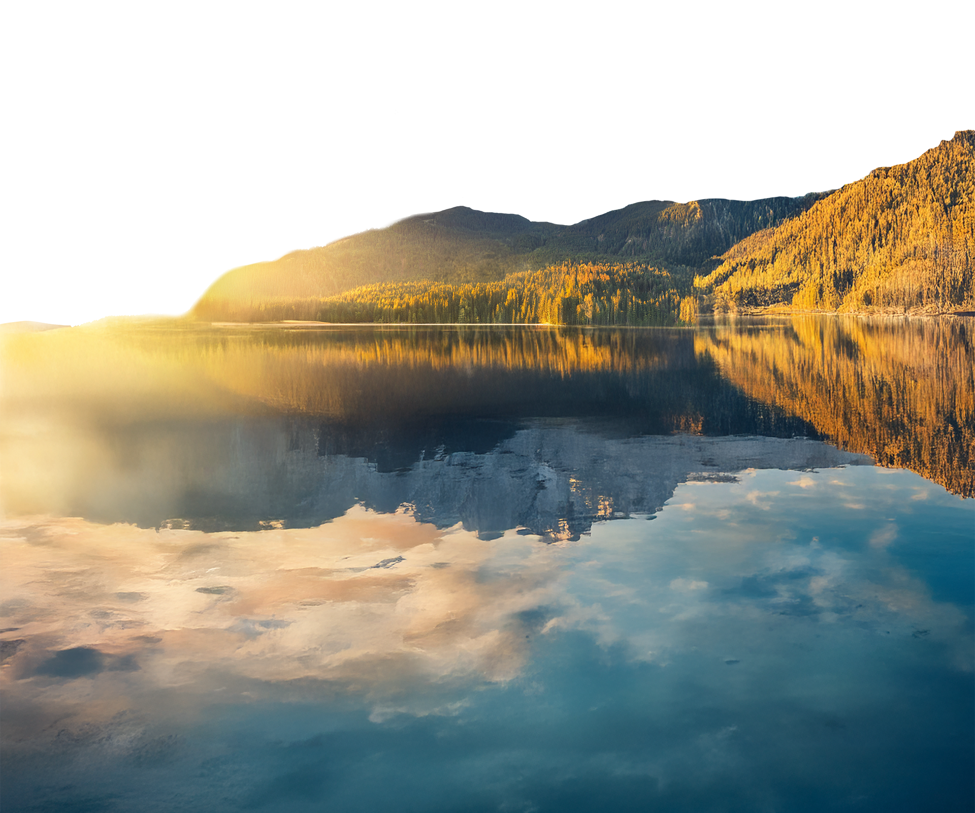 Sonnenstrahlen scheinen durch hohe Bäume in der idyllischen Natur rund um das Berghotel Hammersbach.